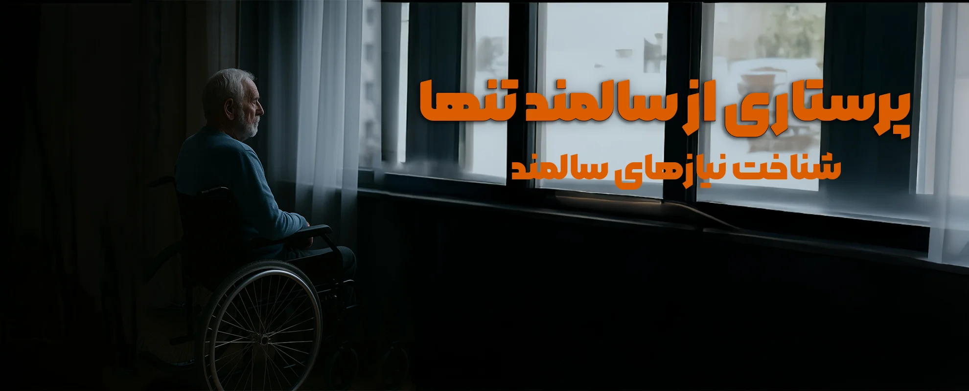 پرستاری از سالمند تنها
